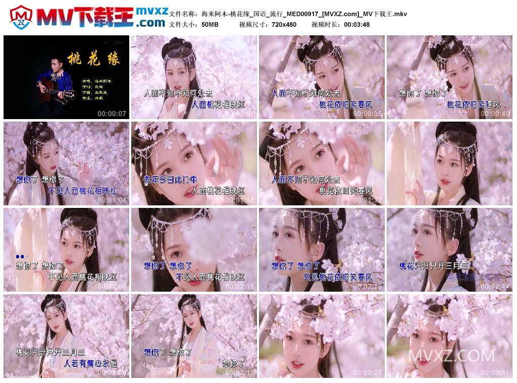 海来阿木-桃花缘_国语_流行_MED00917